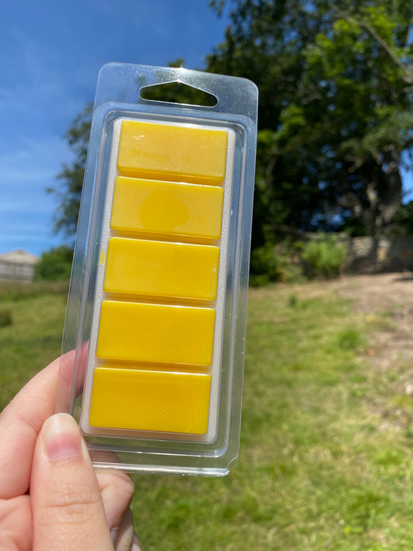 Dreaming of Daisies Snapbar